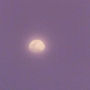 宝贝c我想摸你奶让我揉揉动漫
